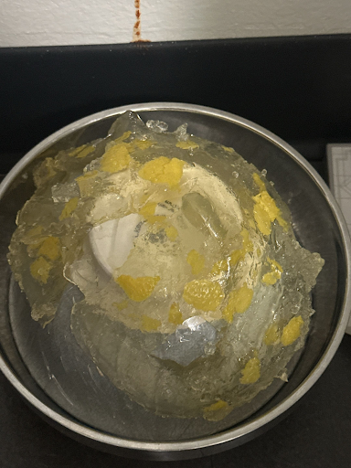 Gelatin dome experiment